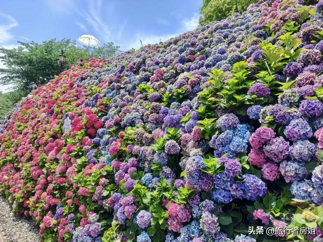 太意外了，原来从旺山风景区到上方山国家森林公园是如此的近