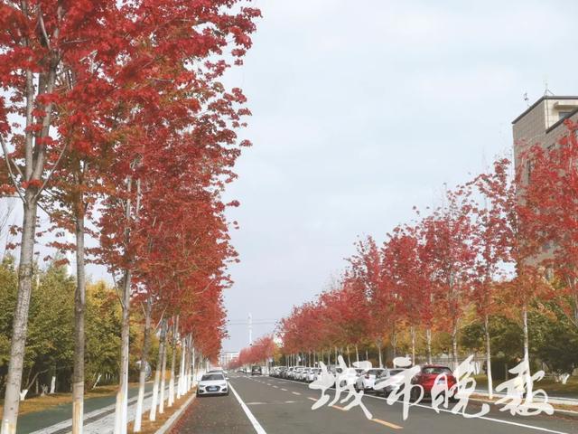 长春这里,太出片了!