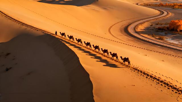 雁字裁云处，青城染就北疆最瑰丽的秋色长卷