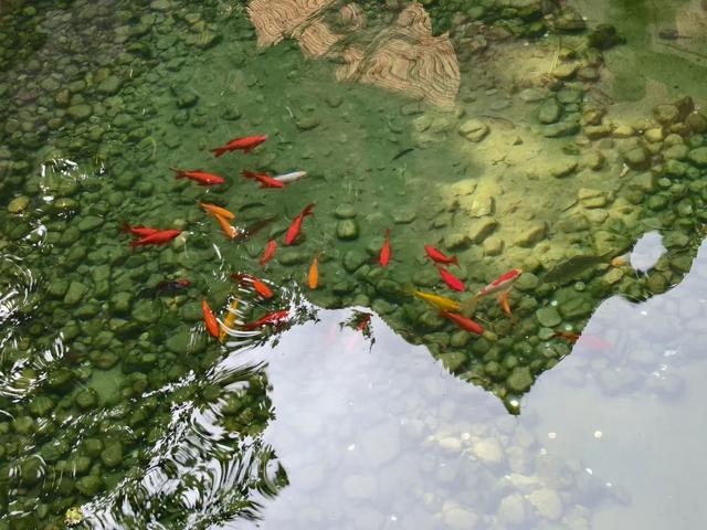 醴陵冬日限时暖阳已上线，公主王子请享用