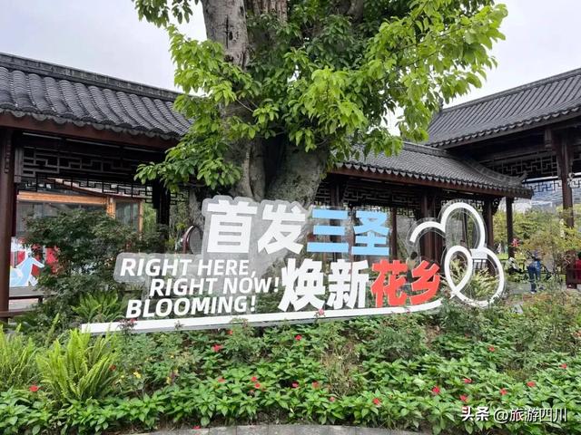 焕新三圣花乡：首发经济激活文旅消费新场景