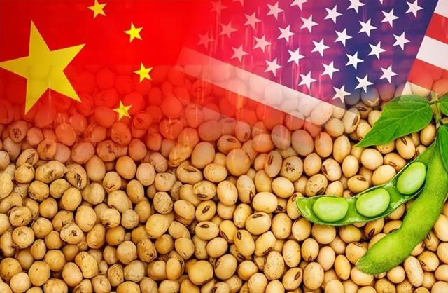 学者谈美大豆协会称中国市场无法取代