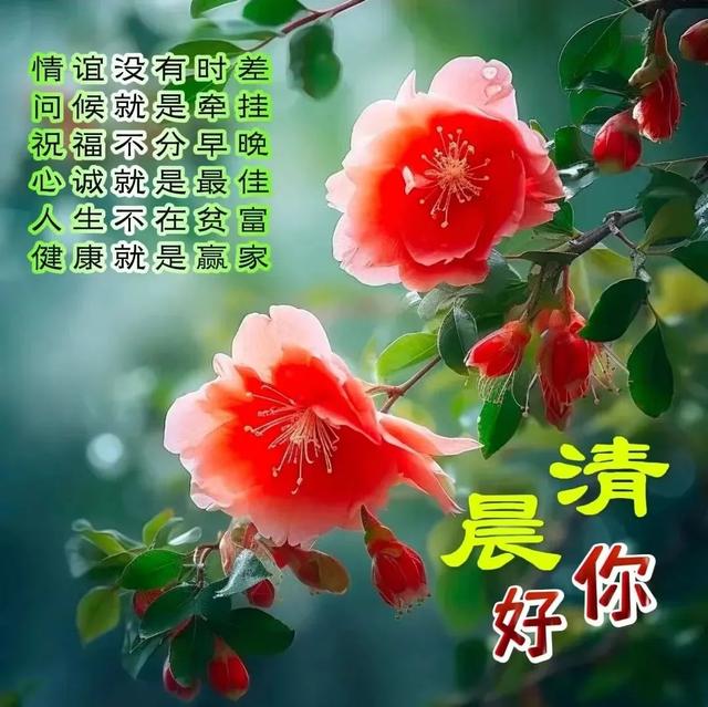 每日100句吉祥祝福语，最美的问候语大全，祝福朋友们快乐吉祥