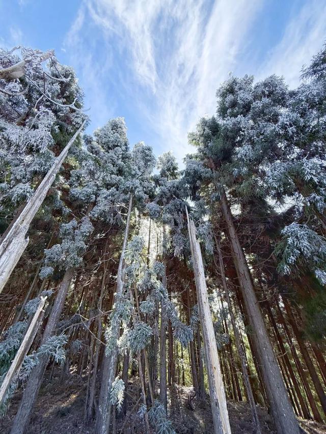 明月山惊现冰瀑雾凇，已经开始期待下雪了！