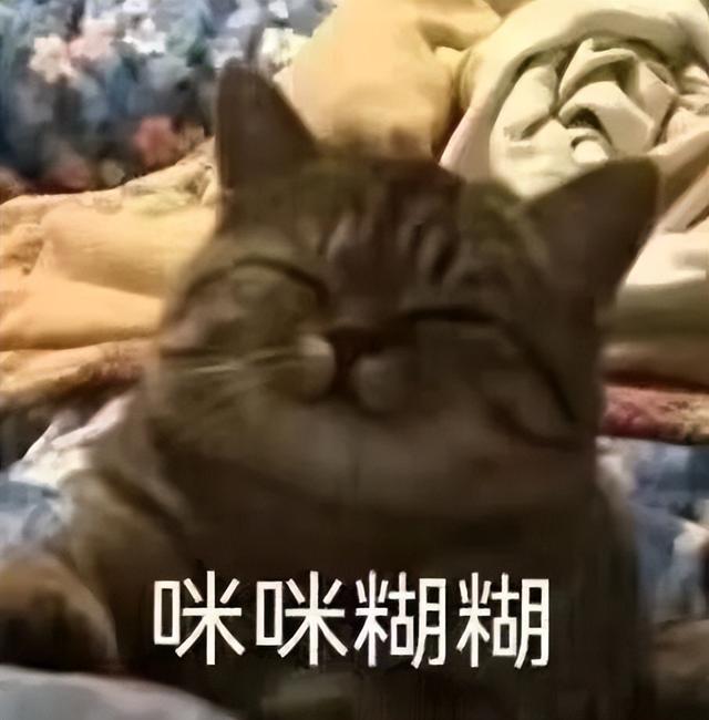 华为的10100mAh新机，把所有网友都整不会了