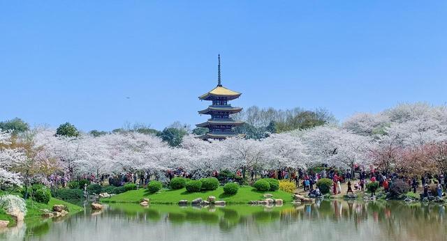 为什么上海人那么喜欢去日本旅游？