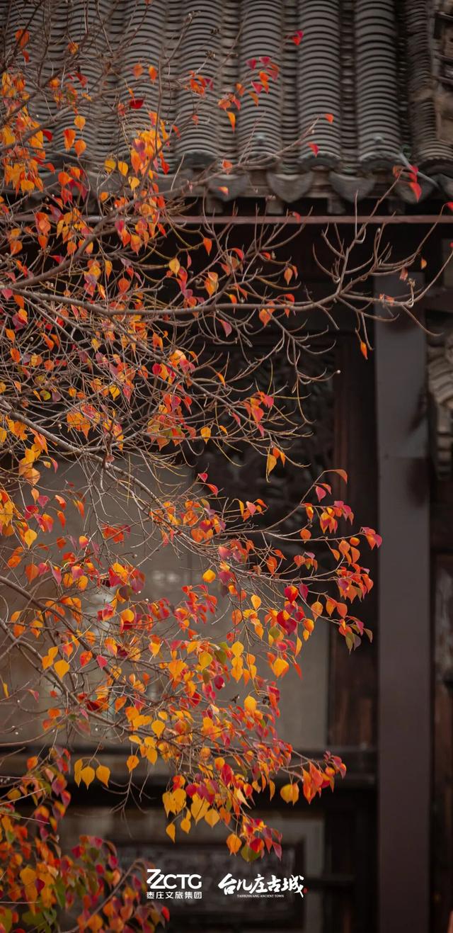 冬韵台儿庄，一键收藏古城的静谧时光