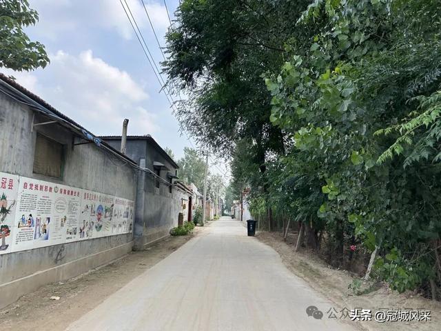 冠县乡韵·辛集镇崔刘八寨