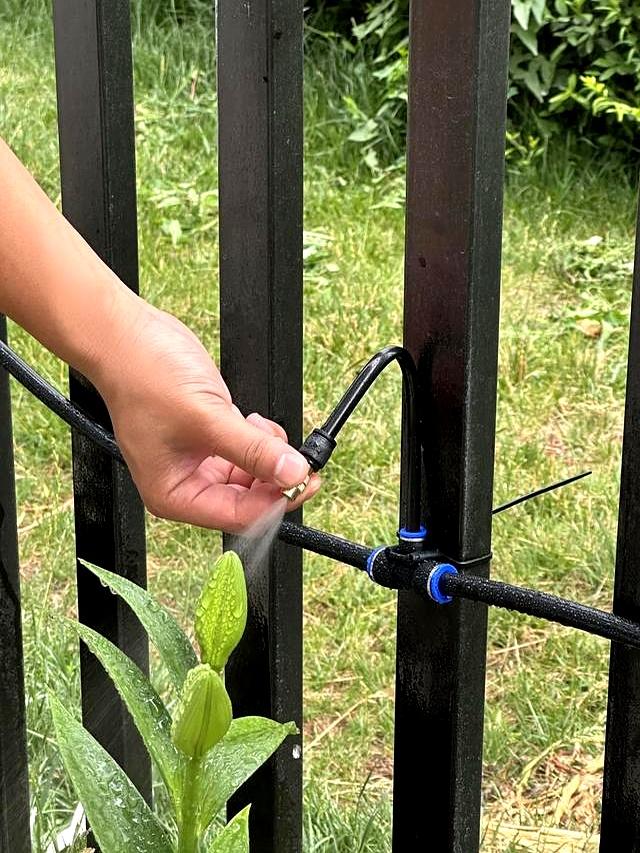 解决小院的6大烦恼，带你一分钟了解