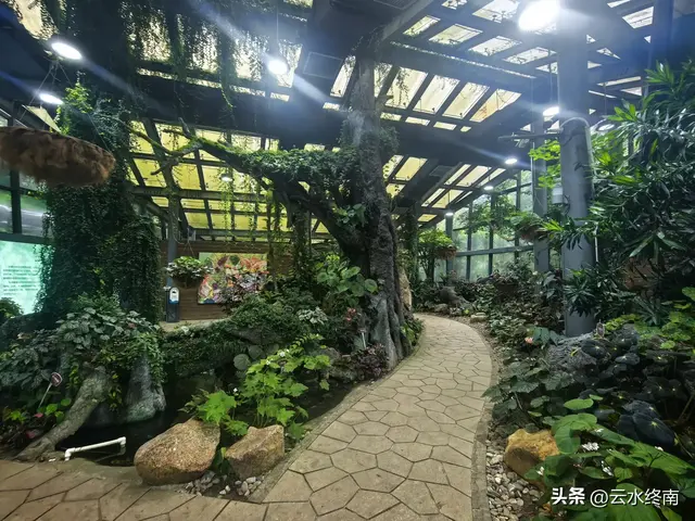 一个五A级植物园，到底藏着哪些值得看的地方，这是最实在的攻略