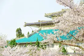 「985院校」武汉大学2024年考研复试分数线！图片