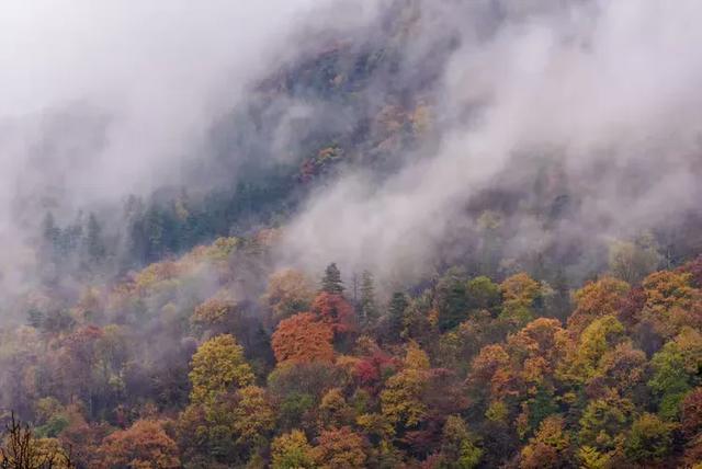 龙头山秋韵：层林尽染的摄影秘境