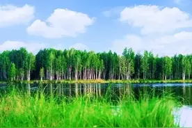 静心读书：《瓦尔登湖》摘录图片