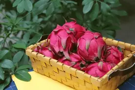 A型血少吃肉、O型血限水果？血型决定了你吃什么更长寿？带你解读“血型饮食法”图片