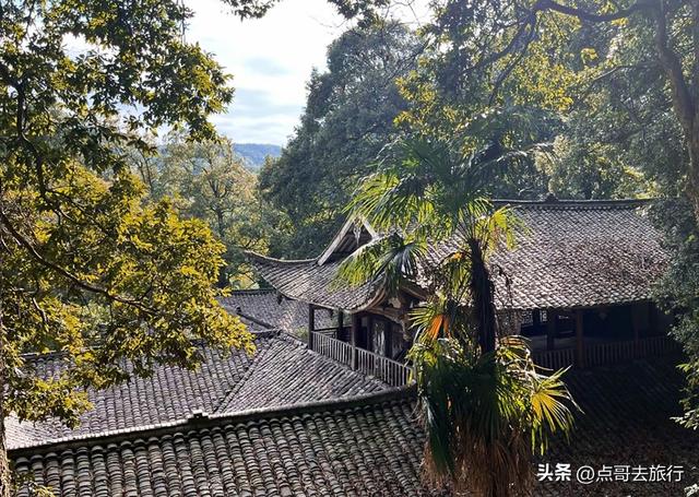 成都邛崃被严重低估的徒步路线，全部免费，未来将爆火，魅力十足