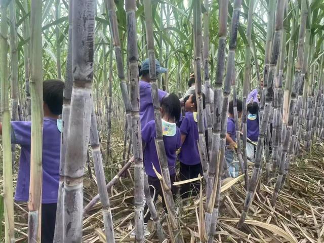 双节圆满收官！今年济阳旅游市场为何如此火爆