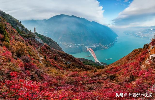 又到巫山红叶时：以叶为媒，巫山在渝向世界发出赏秋盛邀