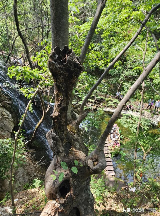请河南朋友猜一猜这是哪里的景区？要山有山，要水有水，山水不断