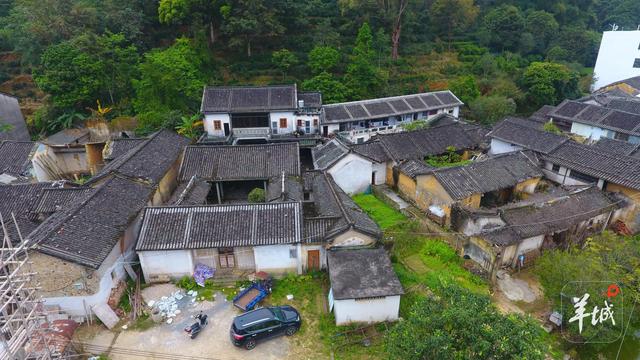 潮州潮安区东兴村:又见茶山 | 大美岭南·百村焕新记