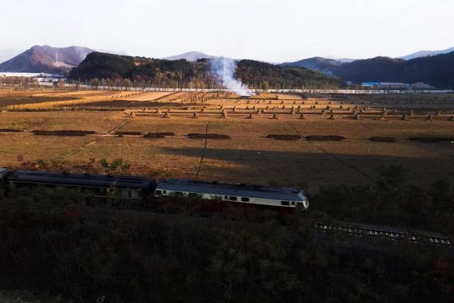 窗外是五花山！东北的这趟列车，当季要火！