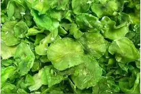 夏天，抓紧把5种菜晒干，放冰箱囤起来，一年不坏，冬天炖肉真香图片