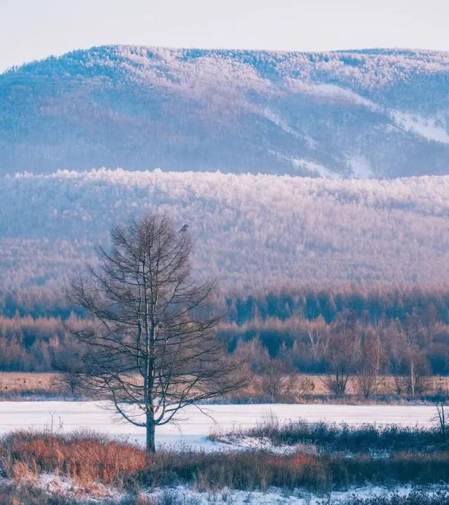 现金奖励！2025—2026内蒙古自治区冰雪旅游季暨呼伦贝尔冬季旅游启动仪式，邀你拍“中国冷极”赢奖励！