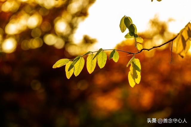性与命和寿的关系：好命长寿的男人，往往身上有这几种特征