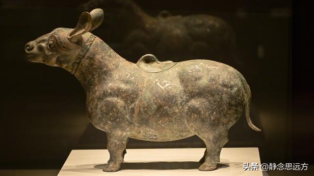 河南人去了滨州和淄博，直言不讳：滨州和淄博生活方式截然不同！