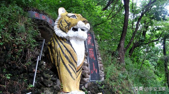 乌苏里江畔随行笔记