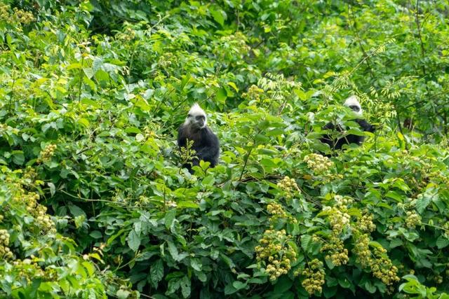 最适合冬游的宝藏边陲小城，来过一次就彻底爱上