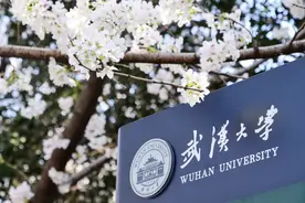 武大樱花已谢，来年再约！图片