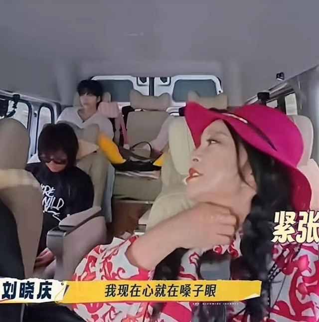 钱再多有什么用？刘晓庆意外摔倒、分不清人	，给中老年人提了个醒