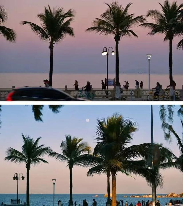 情侣路，凭什么成为大湾区顶流？