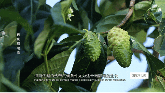 绝美秘境、海岸滑翔……万宁这个小渔村太适合度假啦！