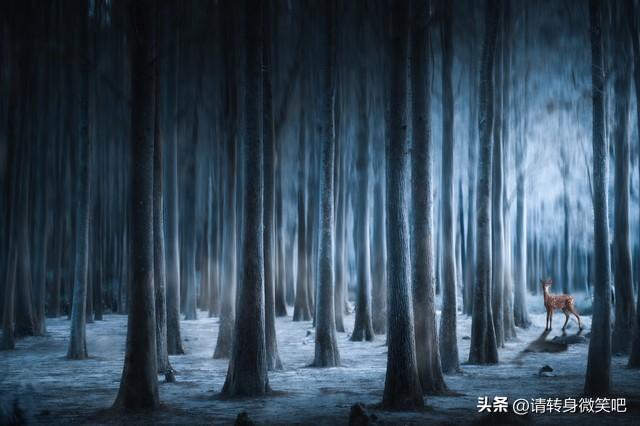 你要明白，一个人想欺负你，他总会在心里反复秤过你，才敢下手的