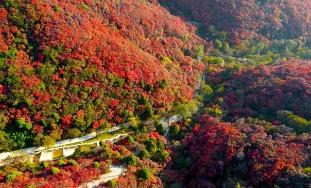 国家级榜单！潍坊这条路线上榜！