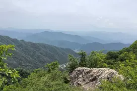 2年亏损超14亿，股价却2个月暴涨200%！早期布局国产伟哥，如今股价被“减肥药”概念带飞图片