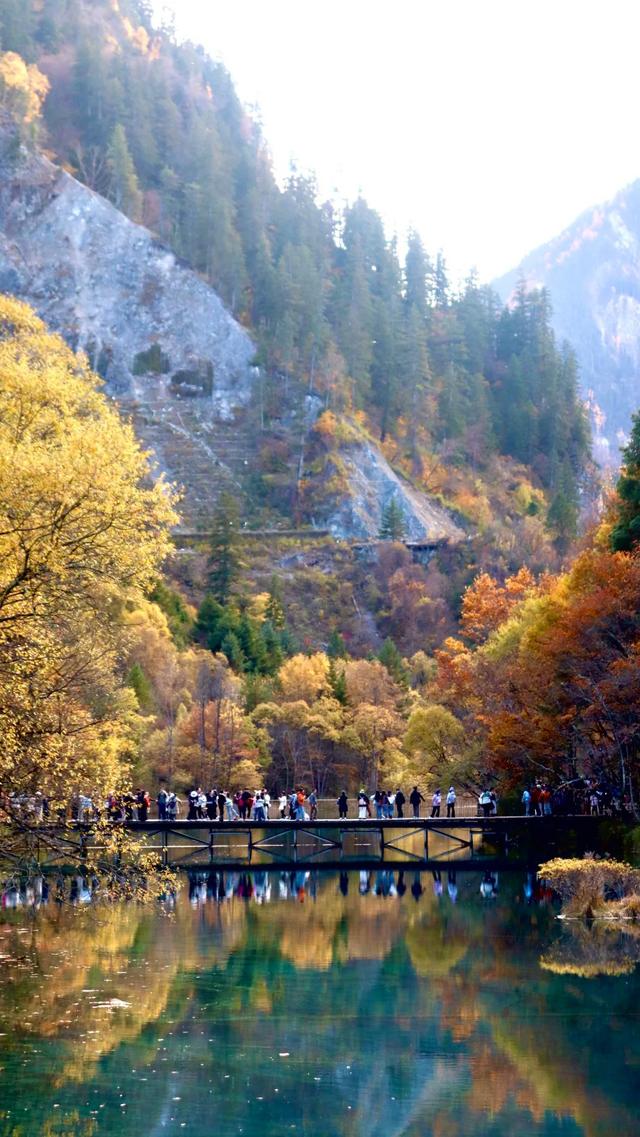【今日九寨沟】秋季彩林最后的盛宴，明年再见！