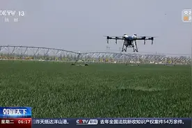 新型植保无人机飞入田间地头，产业链飞速成长中图片