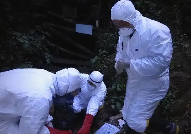 尼帕病毒确诊5例，近100人被隔离	，公众场合或坚持“4不碰”原则