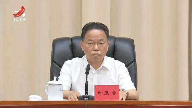 中央批准，多个省级党委领导班子密集调整