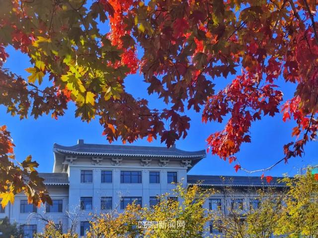 哈尔滨工程大学枫叶又红啦！
