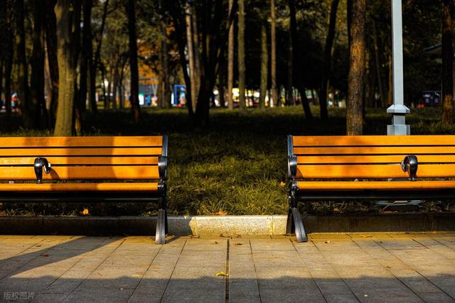 石象路银杏黄了！秋日南京必走的几条经典路线