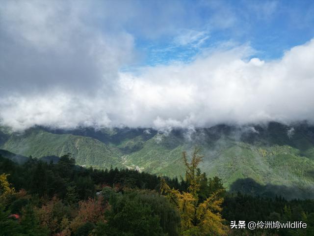 四川行(73)什邡红枫岭徒步到钟鼎寺