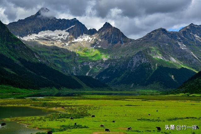 西藏嘎朗湿地：藏东南的隐秘莲花