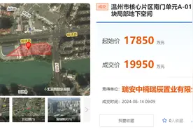 2025年温州的房子值得买吗？DeepSeek经32秒深思后，这样回答……图片