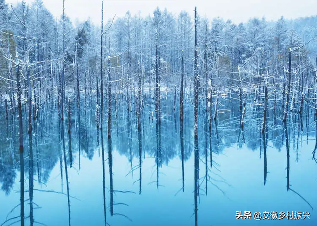 第一批抵达网红景点的游客，已被诈骗......