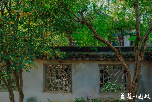 桂香满城！苏州桂花赏花地图来了！