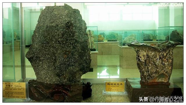 山东行游影记（31）—平邑天宇自然博物馆（六）