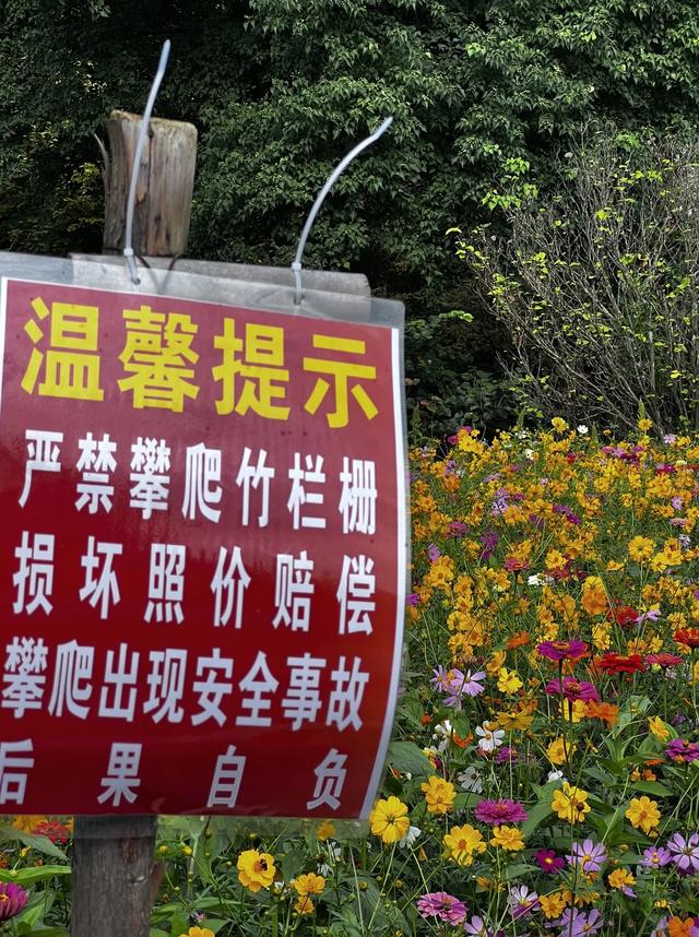 无滤镜！十里河滩花海真美在心巴上